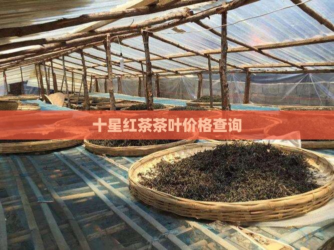 十星红茶叶价格查询