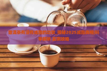普洱茶有没有减脂的功效
