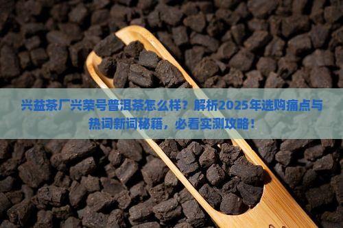 兴益茶厂兴荣号普洱茶怎么样