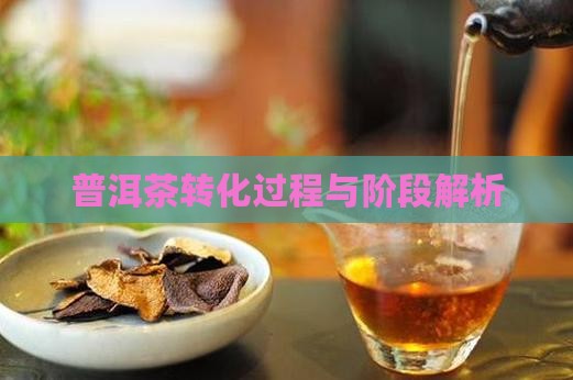 普洱茶转换过程