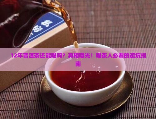 存放了12年的普洱茶还能喝吗