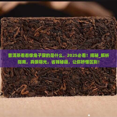 普洱茶看着像兔子屎的是什么