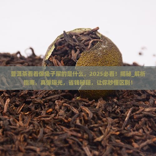 普洱茶看着像兔子屎的是什么