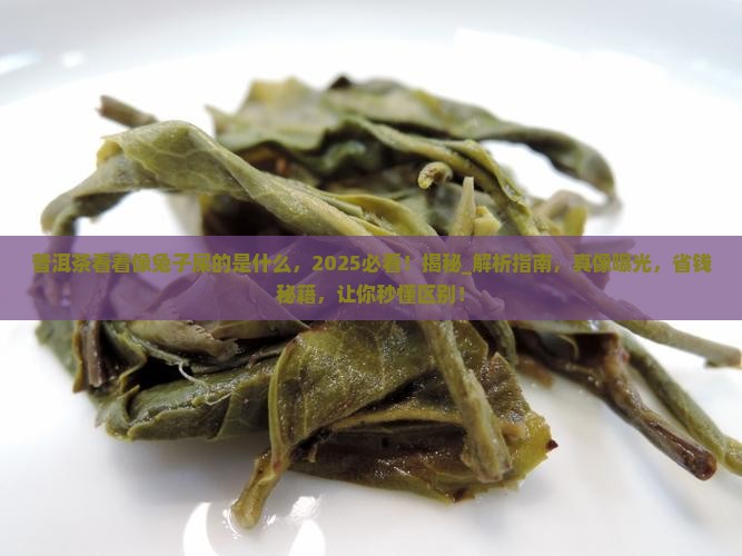 普洱茶看着像兔子屎的是什么