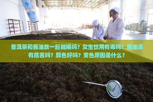 普洱茶和酱油放一起能喝吗