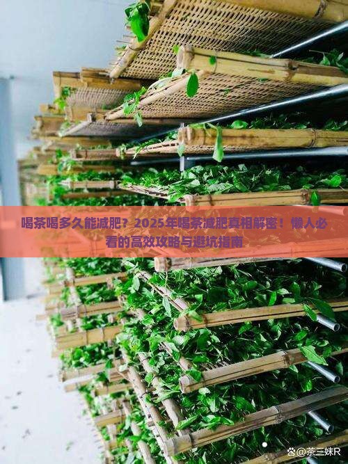 喝茶喝多久能减肥 喝茶喝多久能减肥