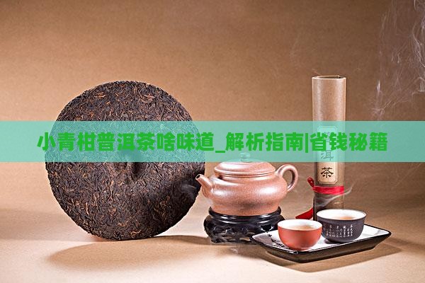 小青柑普洱茶啥味道