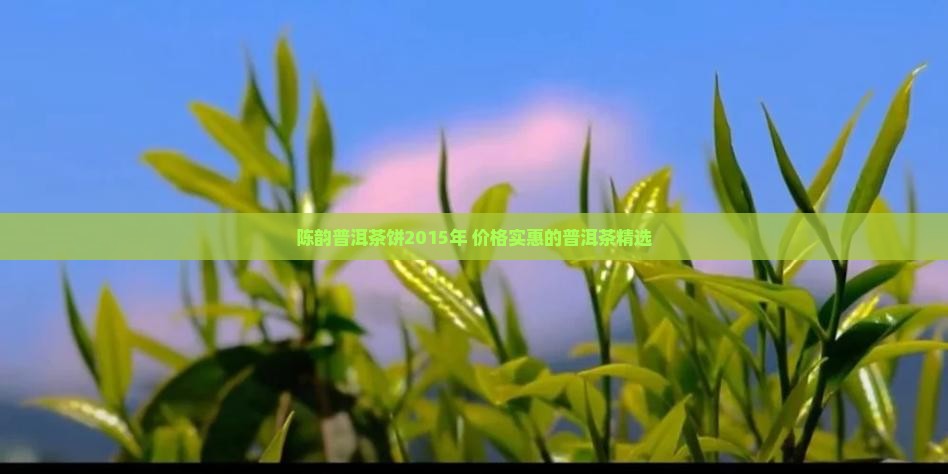 陈韵普洱茶饼2015年