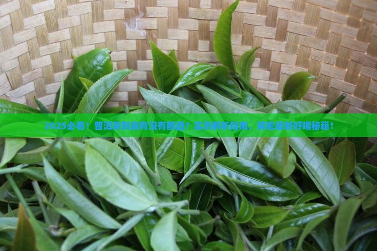 现在普洱茶好不好喝了呢