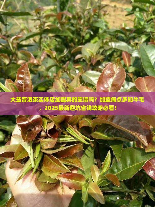 大益普洱茶实体店加盟