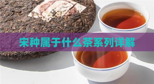 宋种属于什么茶