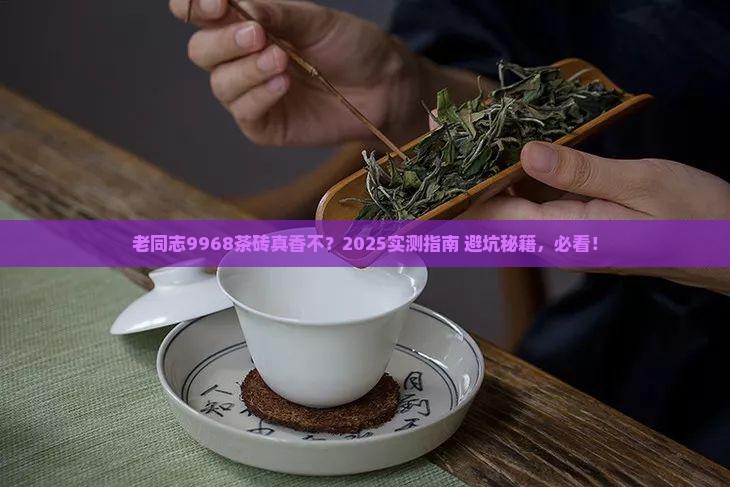 老同志9968茶砖怎么样