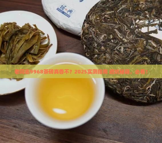 老同志9968茶砖怎么样