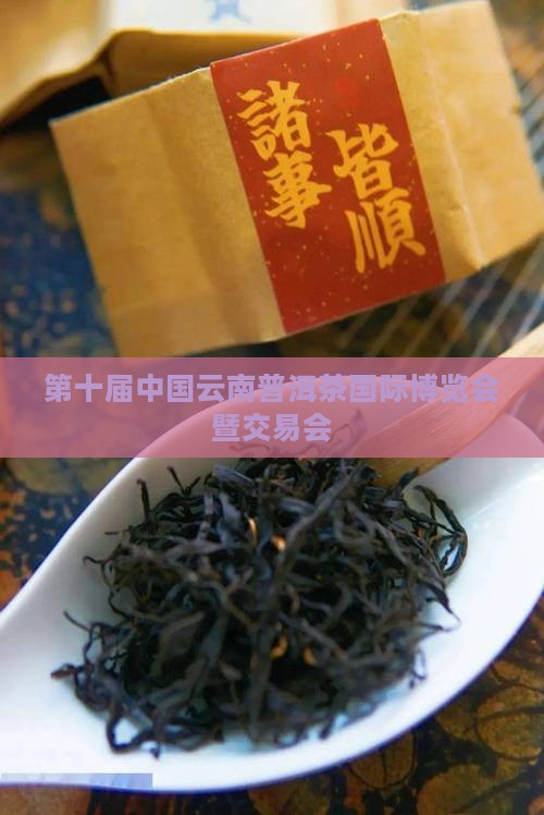 中茶网普洱茶会展