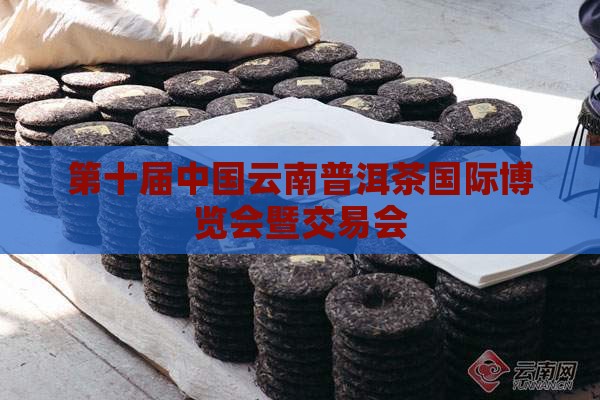 中茶网普洱茶会展