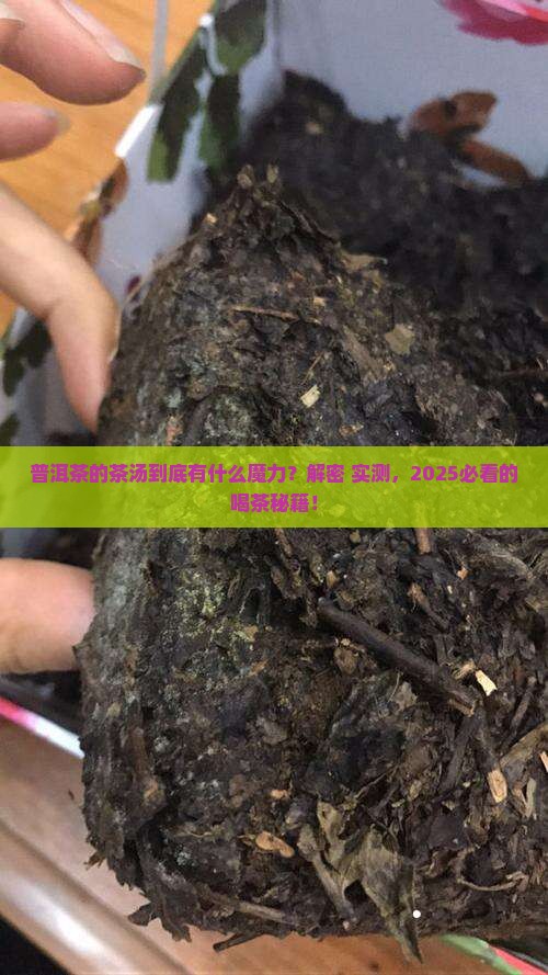 普洱茶的茶汤特色是什么