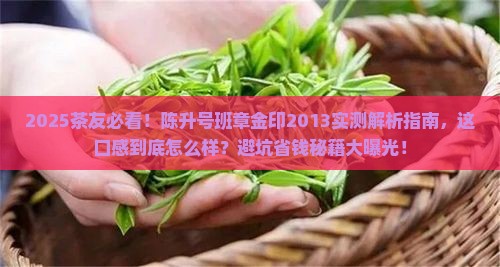 陈升号班章金印2013怎么样