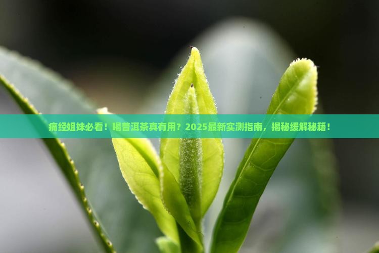 喝普洱茶可以缓解痛经吗