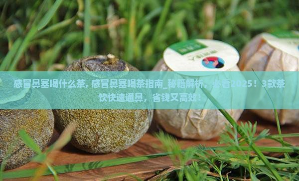 感冒鼻塞喝什么茶