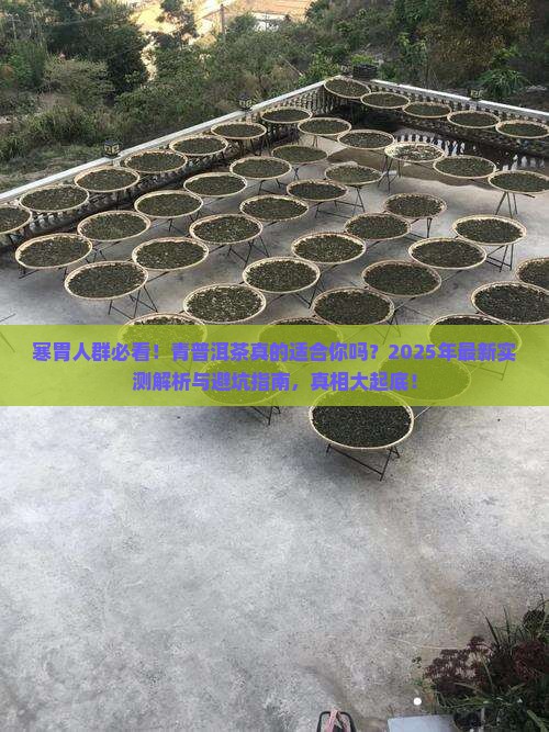 寒胃可以食青普洱茶吗