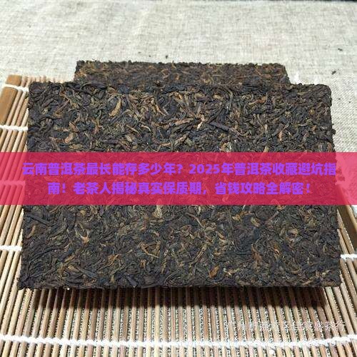 云南普洱茶最长多少年的