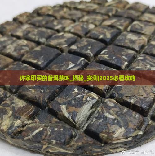 许家印买的普洱茶叫