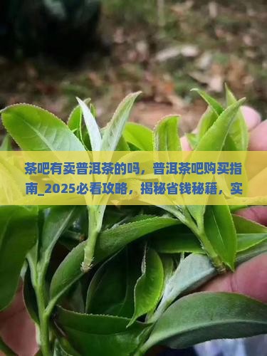 茶吧有卖普洱茶的吗