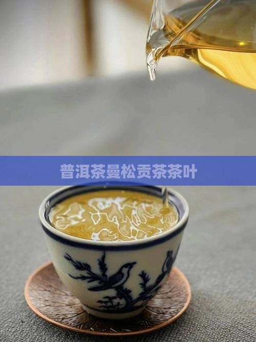 内版纳勐腊县曼松普洱茶