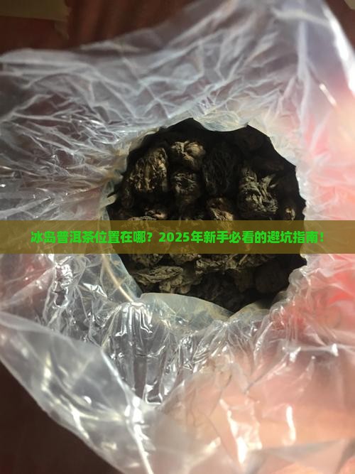 冰岛普洱茶位置