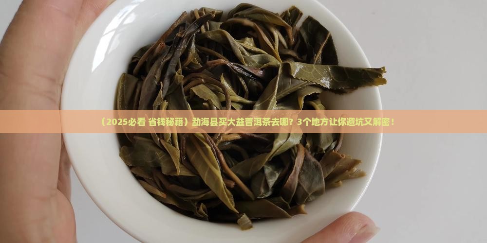 勐海县去哪里买大益普洱茶