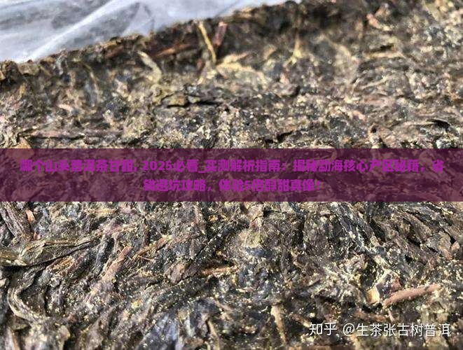 哪个山头普洱茶甘甜