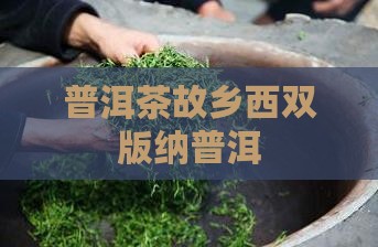 普洱茶故乡西双