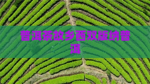普洱茶故乡西双