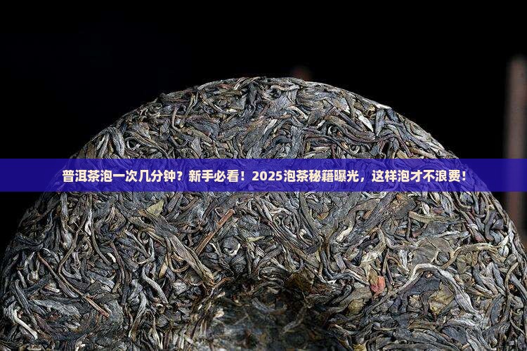 普洱茶泡一次几分钟