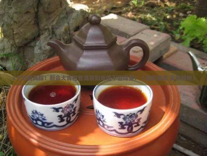 新会大青柑普洱茶