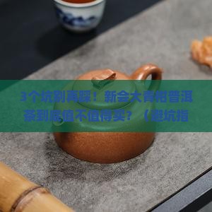 新会大青柑普洱茶