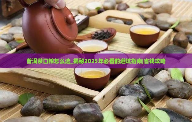 普洱茶口粮怎么选