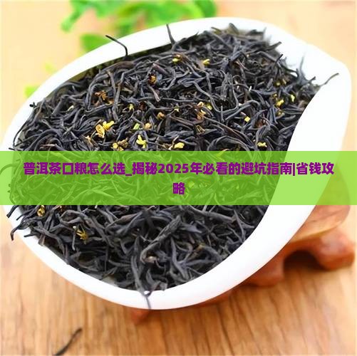 普洱茶口粮怎么选