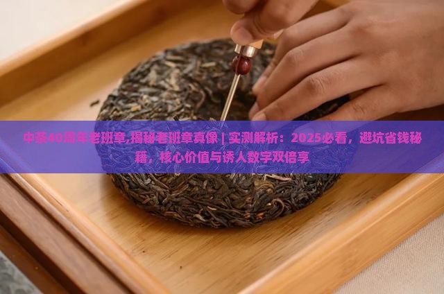 中茶40周年老班章