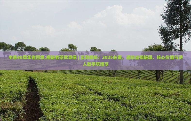 中茶40周年老班章