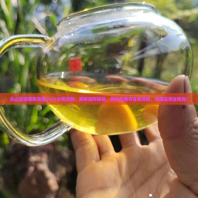 乐山基诺族普洱茶