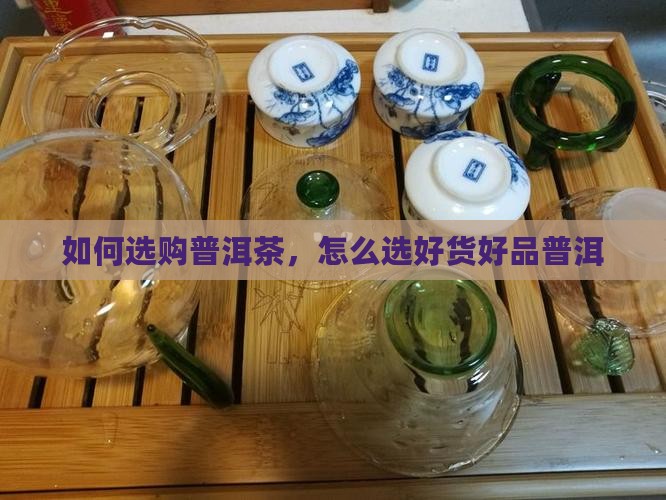 普洱茶批发怎么选好货好品
