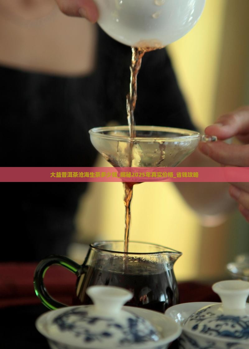 大益普洱茶沧海生茶多少钱