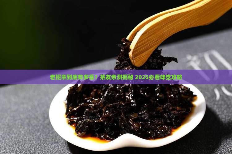 茶友老班章味道