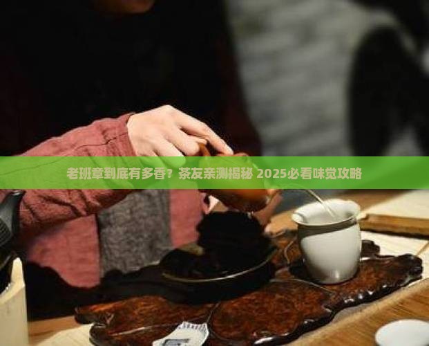 茶友老班章味道