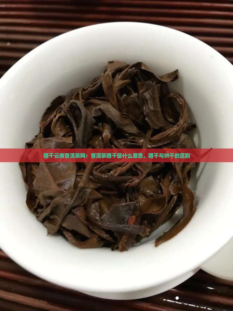 晒干云南普洱茶网
