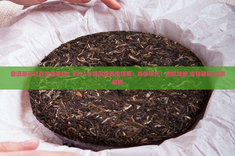 普洱茶可以养生益寿