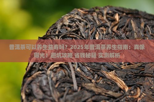 普洱茶可以养生益寿