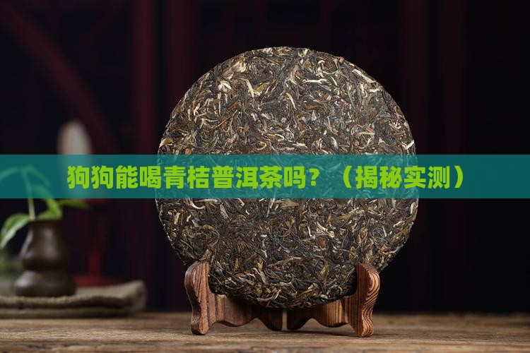 狗狗能喝青桔普洱茶吗
