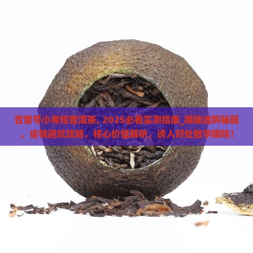 吉普号小青柑普洱茶